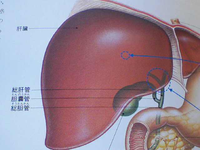 f0197703_13132533.jpg