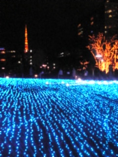 d0052904_11164655.jpg
