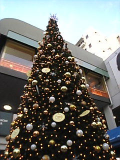 d0052904_111969.jpg