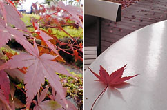 b0043506_194156100.jpg