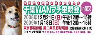 ☆= 12月のお知らせページ ＝☆_f0057509_1437535.jpg