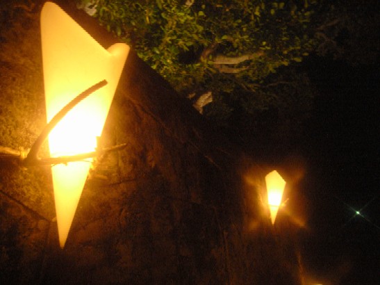 f0043911_205314.jpg