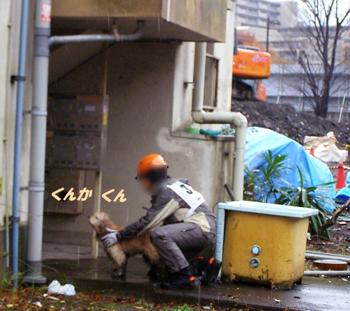 12月14日、東京地方の天気は・・・_b0067012_1293494.jpg