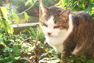 ハイキング・・・というか山歩き_c0116714_12194619.jpg
