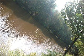 ハイキング・・・というか山歩き_c0116714_1316815.jpg