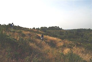 ハイキング・・・というか山歩き_c0116714_1352374.jpg