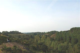 ハイキング・・・というか山歩き_c0116714_1354049.jpg