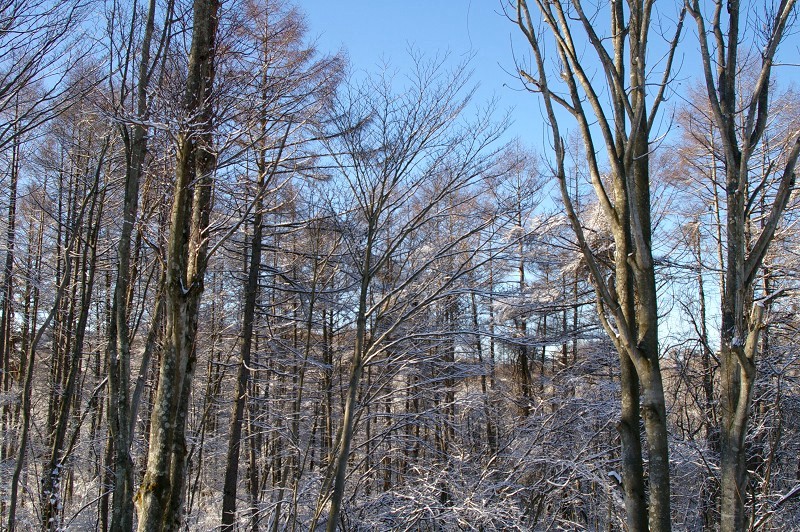 e0136424_9502050.jpg
