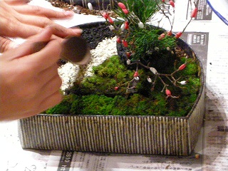 箱庭レッスン 冬の会_b0132444_21501071.jpg