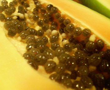 f0088647_9433972.jpg