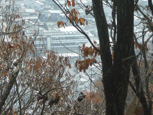 b0152548_1313935.jpg