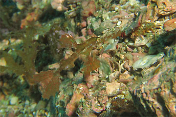 2008/12/16 Tue._e0158261_8203078.jpg