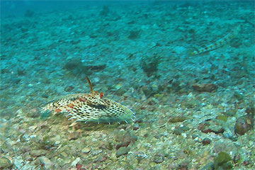 2008/12/16 Tue._e0158261_8312085.jpg