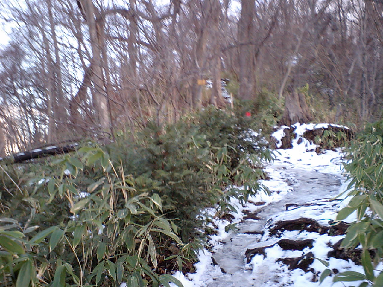 d0098665_1735822.jpg