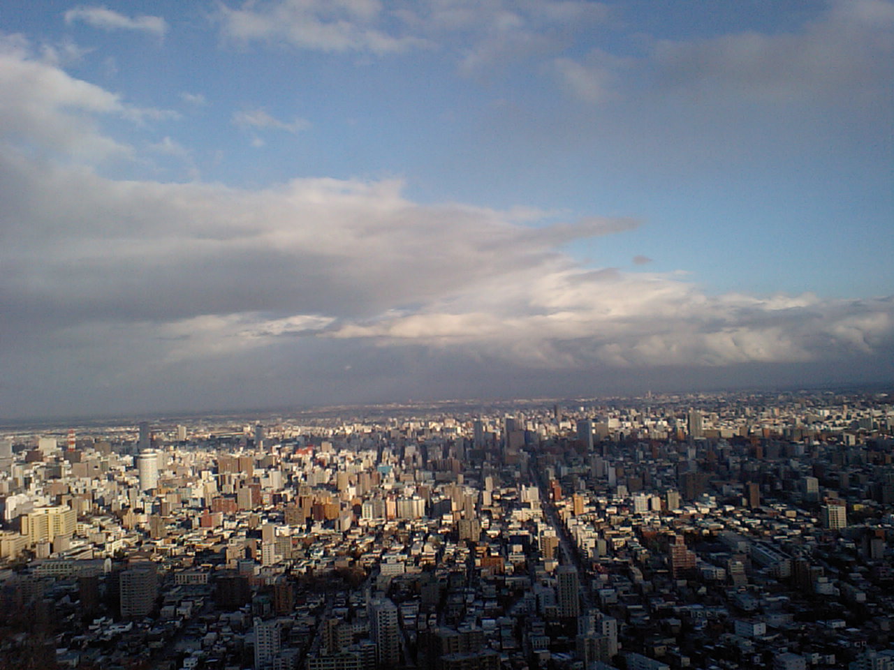 d0098665_1737264.jpg