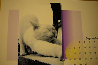 simon\'s calendar part2._c0153966_20571535.jpg