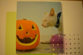 simon\'s calendar part2._c0153966_2057285.jpg