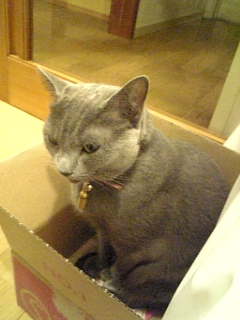 c0126170_243537.jpg