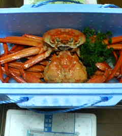 c0146875_226383.jpg