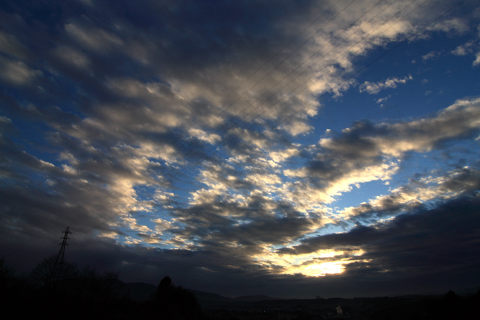 c0054876_1794971.jpg