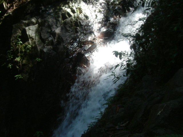 a0067578_18473853.jpg