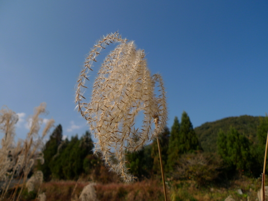 釣納め・・・か?!_b0151286_1015892.jpg