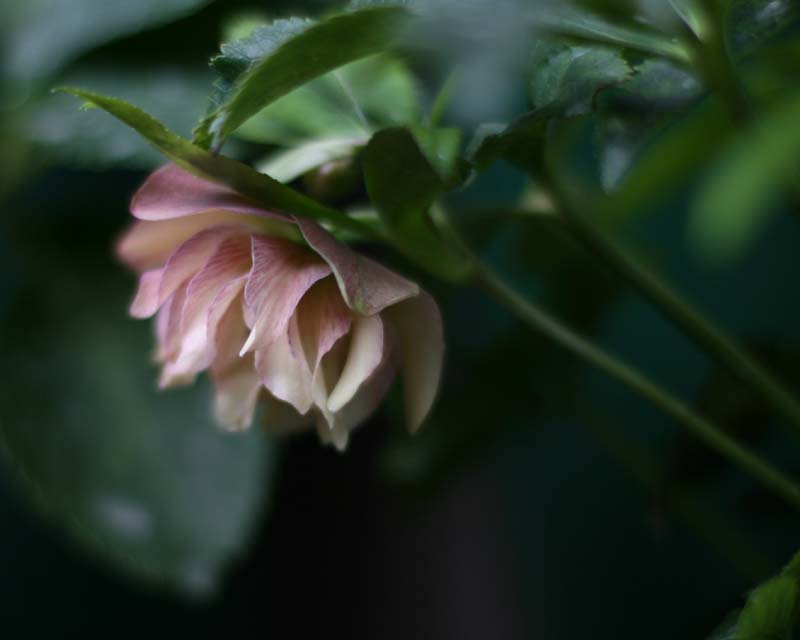 e0129991_17113575.jpg
