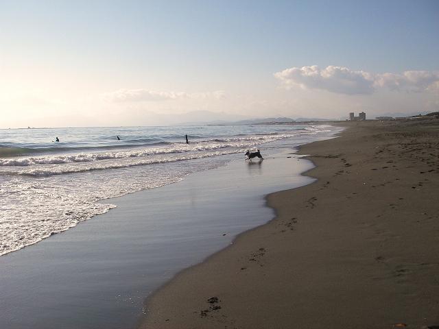 f0034602_20351100.jpg