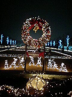 f0147602_15544222.jpg