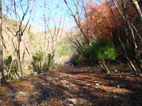 鍋でほくほく♪　鍋割山・塔ノ岳_b0116703_20325476.jpg