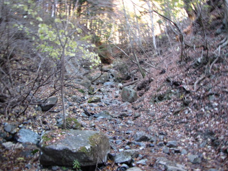 b0116703_20371566.jpg