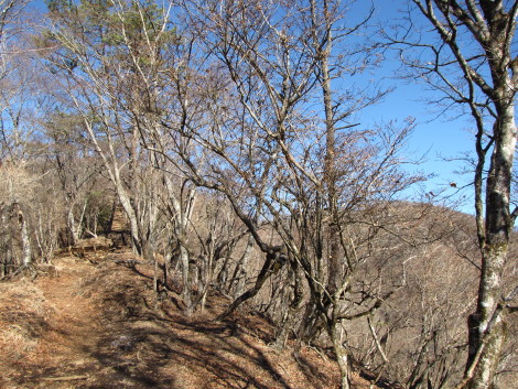 鍋でほくほく♪　鍋割山・塔ノ岳_b0116703_2042259.jpg