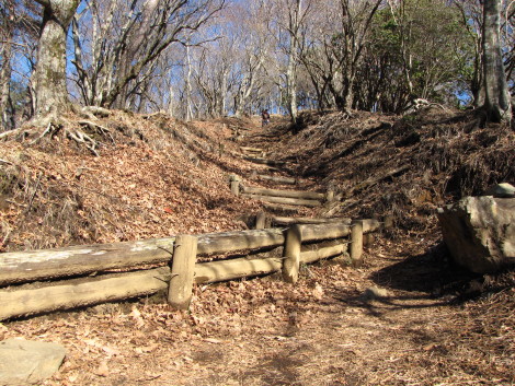 b0116703_2042959.jpg