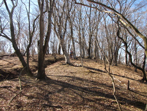 b0116703_2051204.jpg