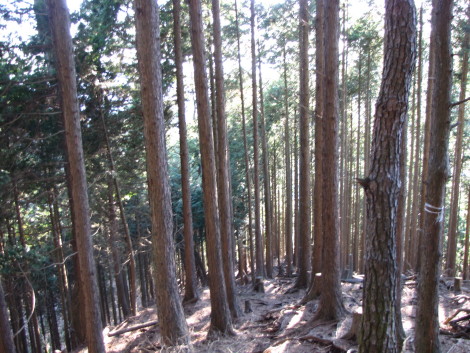 鍋でほくほく♪　鍋割山・塔ノ岳_b0116703_210401.jpg