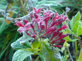 f0052603_0453544.jpg