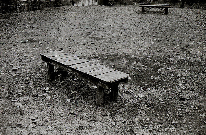 f0164820_11492524.jpg