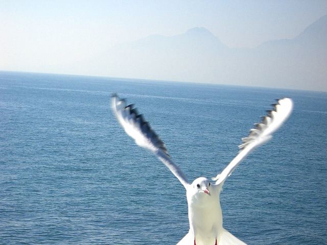 f0184433_18113539.jpg
