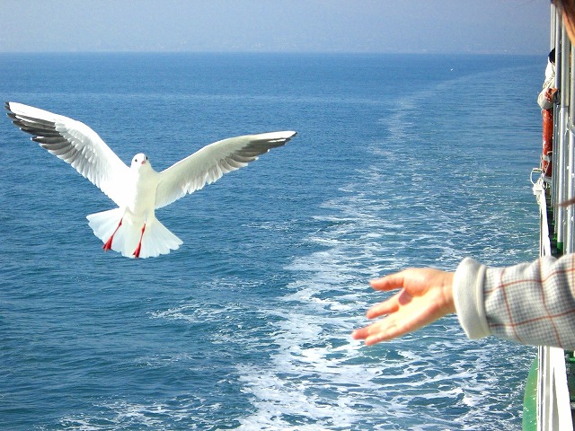 f0184433_1815276.jpg