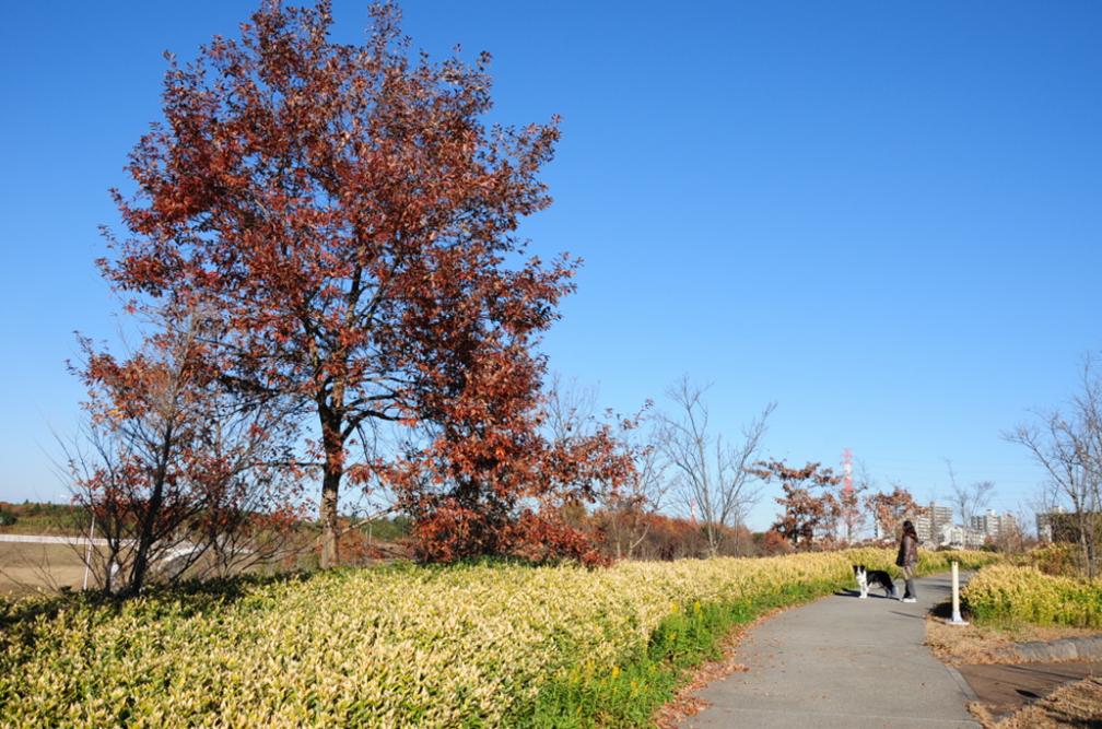 c0147241_0294878.jpg