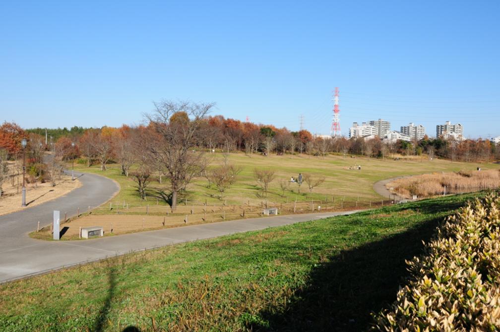 c0147241_0295591.jpg