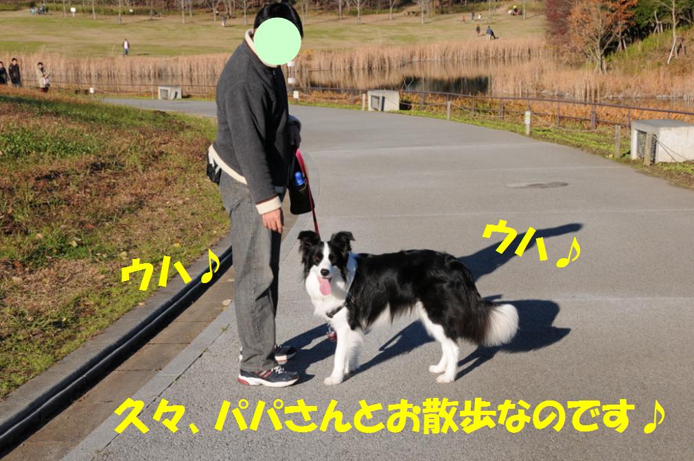 c0147241_0311230.jpg