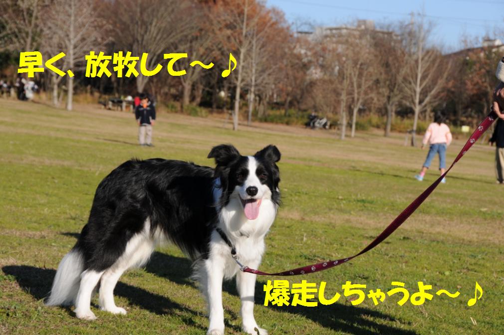c0147241_0312133.jpg