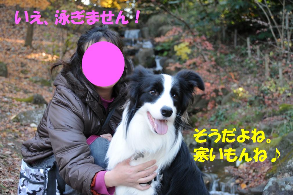 c0147241_0394218.jpg