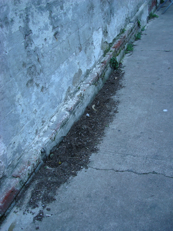 f0115441_16232895.jpg