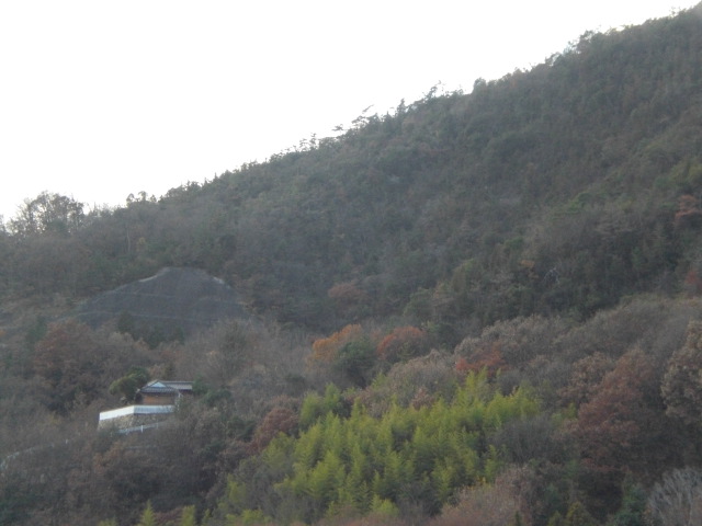 b0152548_184023100.jpg