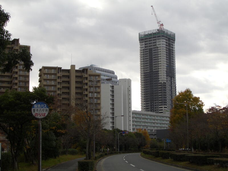 e0161853_1746758.jpg