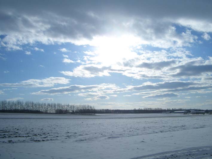 ありがとう!せーちゃん牧場 2008.12.17_b0002156_1428289.jpg