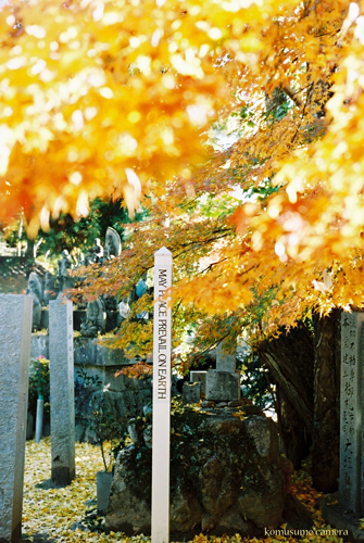 c0136759_23451611.jpg