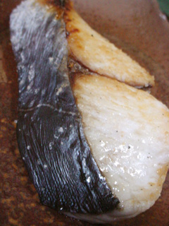 Spanish Mackerel_c0069766_2022149.jpg